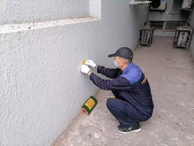 北京灭鼠灭虫公司怎样挑选呢？未来消杀行业怎样