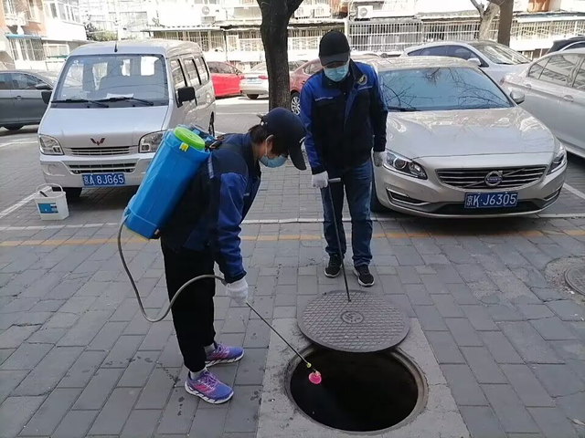 丰台办公室食堂灭虫鼠凯时娱乐北京蛀虫消杀公司
