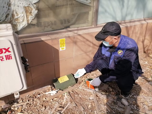 东城鼠类避免怎么做更顺遂？北京凯时娱乐灭四害效劳