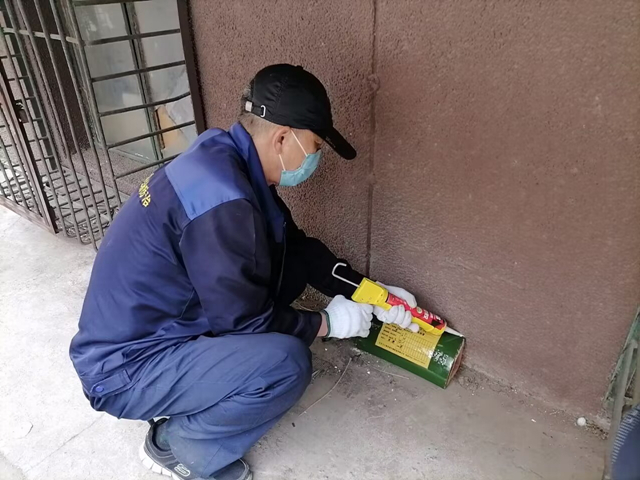 怎样防治蟑螂危害400-619-6022北京凯时娱乐马甸宾馆旅馆灭蟑螂灭蚊蝇