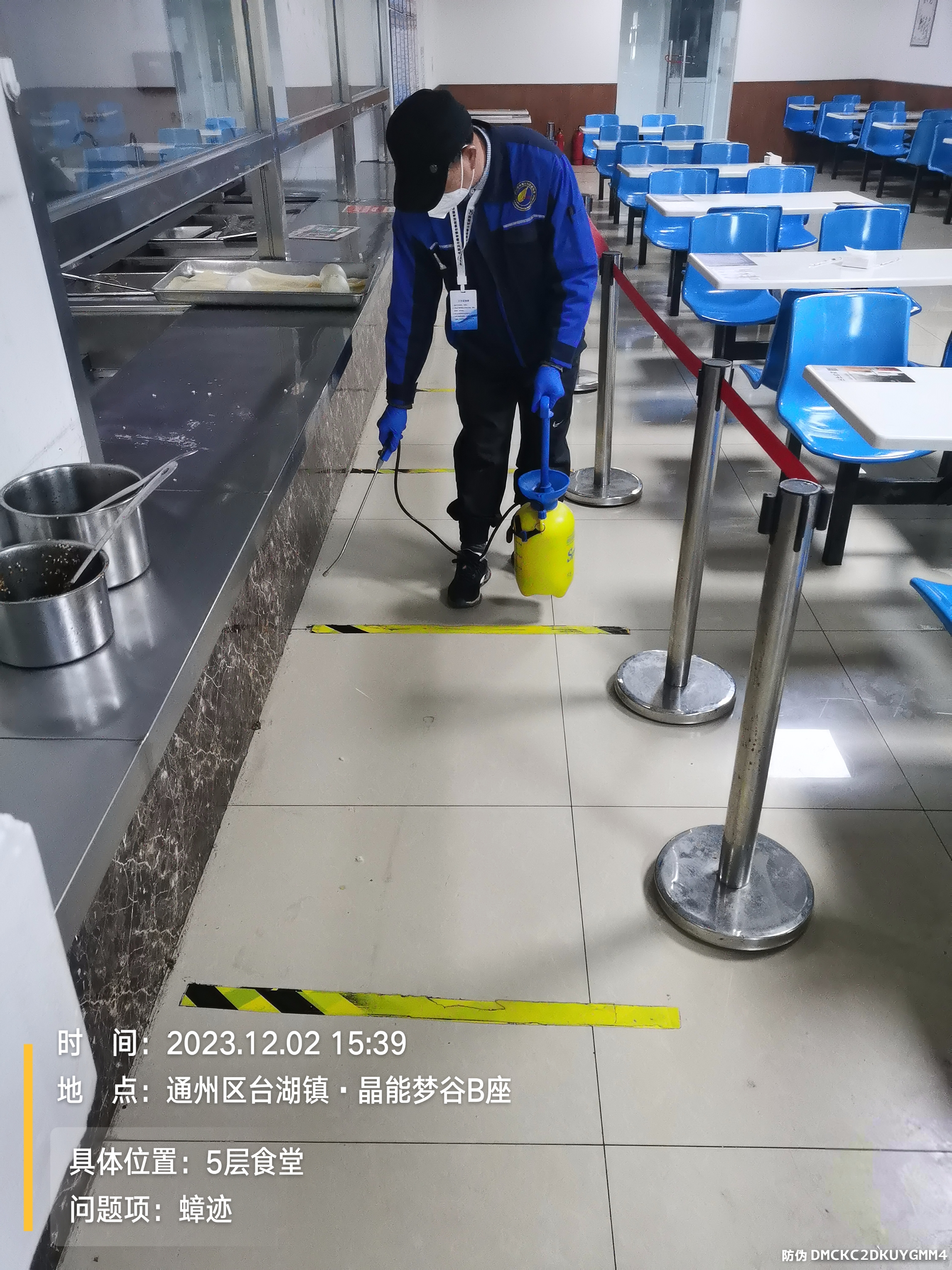 向阳区医院消杀厂家  凯时娱乐北京 将台地区灭蟑螂