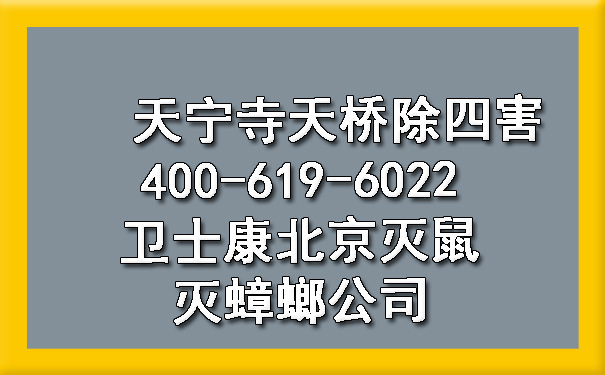 天宁寺天桥除四害400-619-6022凯时娱乐北京灭鼠灭蟑螂公司