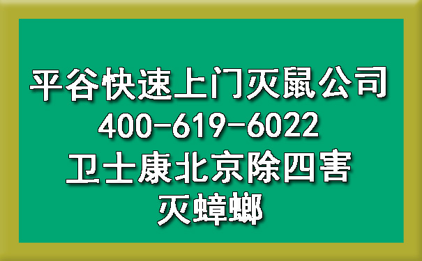 平谷快速上门灭鼠公司400-619-6022凯时娱乐北京除四害灭蟑螂