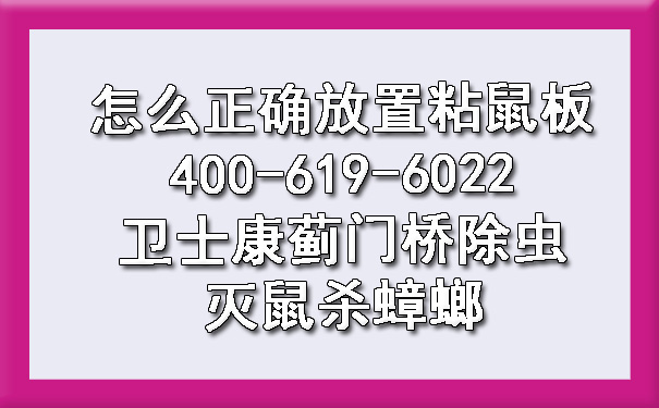 怎么准确安排粘鼠板400-619-6022凯时娱乐蓟门桥除虫灭鼠杀蟑螂