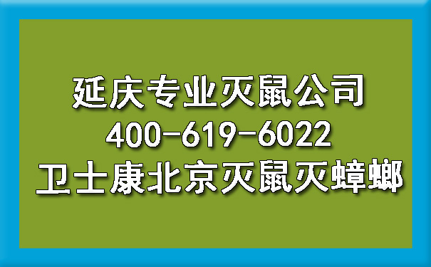 延庆专业灭鼠公司400-619-6022凯时娱乐北京灭鼠灭蟑螂