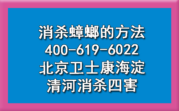 消杀蟑螂的要领400-619-6022北京凯时娱乐海淀清河消杀四害