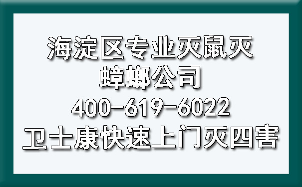 海淀区专业灭鼠灭蟑螂公司400-619-6022凯时娱乐快速上门灭四害