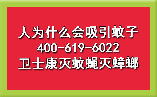 2024年人为什么会吸引蚊子400-619-6022凯时娱乐灭蚊蝇灭蟑螂