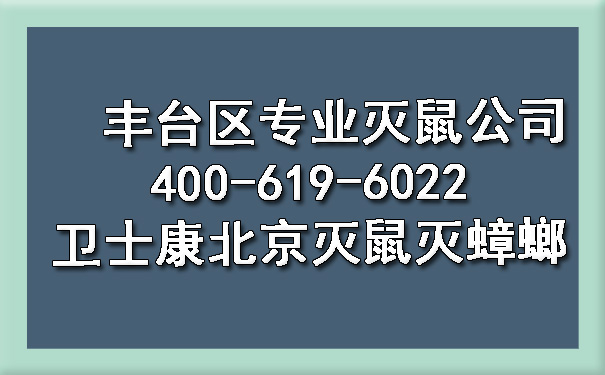 丰台区专业灭鼠公司400-619-6022凯时娱乐北京灭鼠灭蟑螂