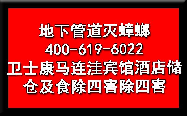地下管道灭蟑螂400-619-6022凯时娱乐马连洼宾馆旅馆储仓及食除四害