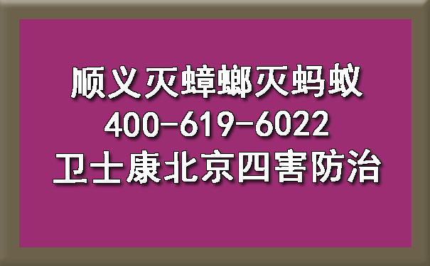 顺义灭蟑螂灭蚂蚁400-619-6022凯时娱乐北京四害防治
